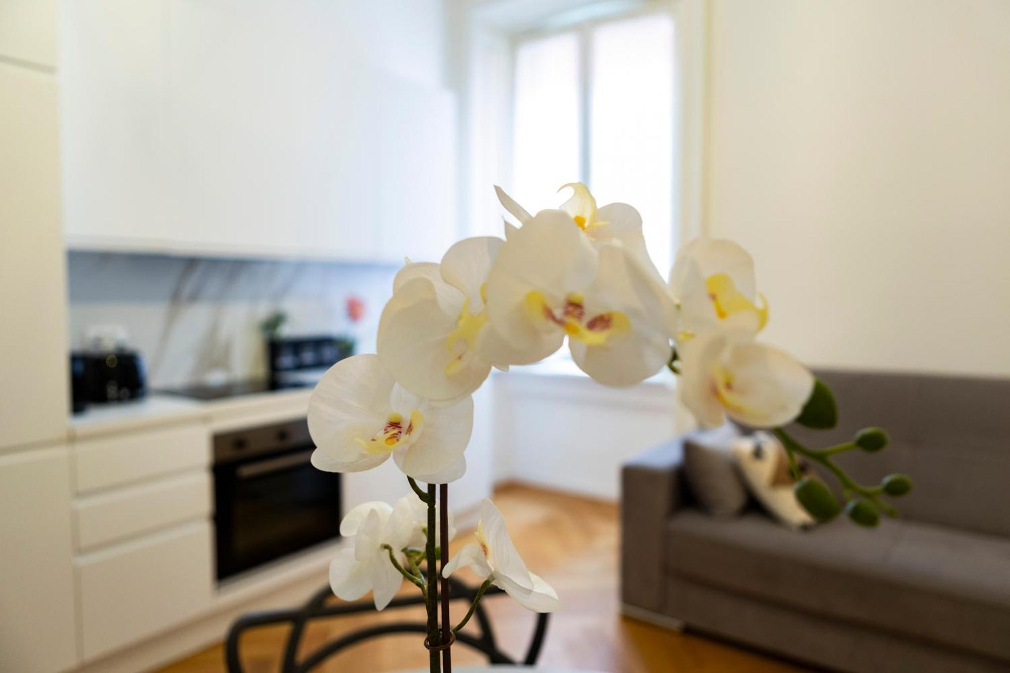 Macchi Delicious Apartment By 101Flats Milano Esterno foto